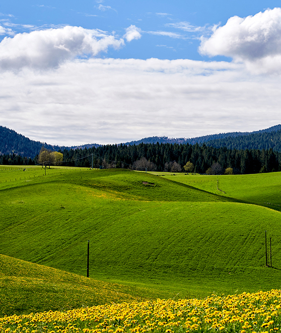 panorama prati di asiago