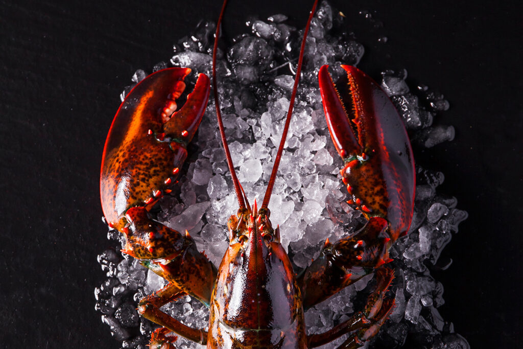 serata pesce al pennar