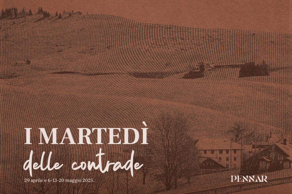 martedi delle contrade