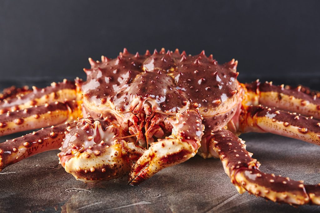 cena king crab pennar asiago